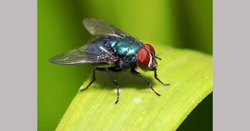 প্রতীকী ছবি