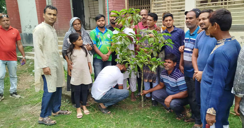 দপ্তিয়র ইউনিয়নে কৃষকদলের উদ্যোগে ‘বৃক্ষরোপণ কর্মসূচি-২০২৫’ পালিত