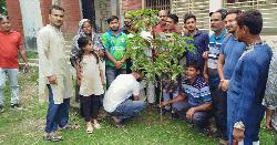 নাগরপুরে কৃষকদলের বৃক্ষরোপণ কর্মসূচি পালিত 