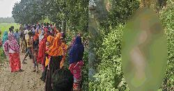 ভ্যানচালকের গলাকাটা মরদেহ উদ্ধার
