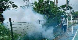 বরগুনায় ডেঙ্গু আক্রান্তে বাড়ছে মৃত্যুর মিছিল