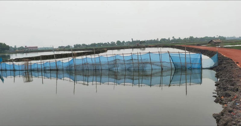 দীর্ঘ মেয়াদি জলাবদ্ধতায় ৬ কোটি টাকা ব্যয়ে নির্মাণাধীন কার্পেটিং রাস্তা হুমকির মুখে পড়েছে।