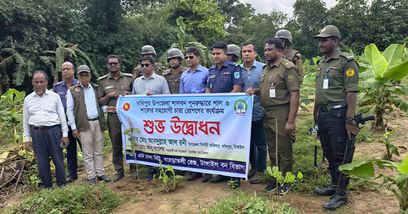 আজ প্রায় ১১ হাজার ফলদ, বনজ ও শাল-গজারির সহযোগী গাছের চারা রোপণ করা হয়।