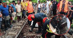 নীলফামারীতে ট্রেনের ধাক্কায় দুই মোটরসাইকেল আরহীর মৃত্যু
