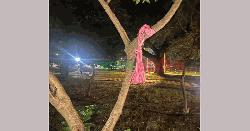 ঢাবিতে গাছের সাথে ওড়না পেঁচিয়ে তরুণীর আত্মহত্যার চেষ্টা