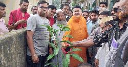 নাগরপুরে ৩১ দফা প্রচারে বিএনপির বৃক্ষরোপণ কর্মসূচি