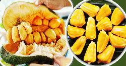 কাঁঠাল খাওয়ার দিন আজ 