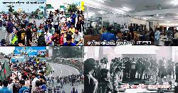 মাওলানা ভাসানী বিশ্ববিদ্যালয় থেকে ২৪-এর গণ-অভ্যুত্থানের সূচনা টাঙ্গাইলে
