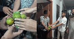 নোবিপ্রবির আবাসিক হলে ছাত্রশিবিরের আম বিতরণ