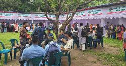 ঢাবিতে চলছে গণতান্ত্রিক ছাত্রসংসদের বৃক্ষমেলা