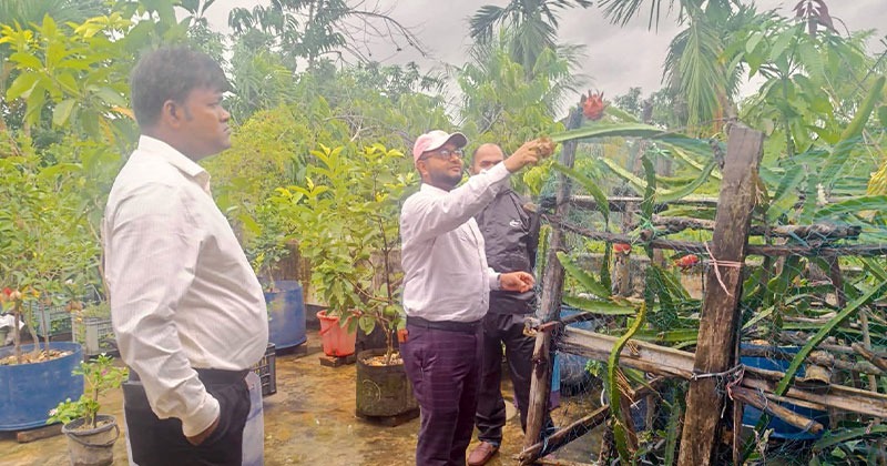 সোনাগাজীর মঙ্গলকান্দি ইউনিয়নের ছাদ বাগান পরিদর্শন ও পরামর্শ প্রদান করেছেন উপজেলা কৃষি কর্মকর্তা মাইন উদ্দিন আহমেদ।