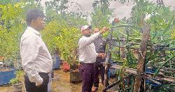 নগরে কৃষির সম্ভাবনা জাগিয়ে তুলছে ছাদ বাগান