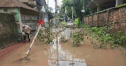 রাজবাড়ী হাসপাতালের সড়ক বেহাল, জনভোগান্তি চরমে