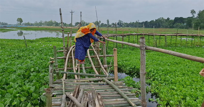 রৌমারী উপজেলার শৌলমারী ইউনিয়নের বোয়ালমারী গ্রামে টিআর প্রকল্পের আওতায় বাঁশের সাঁকো মেরামতের কাজে চরম অনিয়মের অভিযোগ।