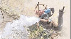 কাহারোলে উঁচু জমিতে আগাম জাতের আমনের চারা রোপণ