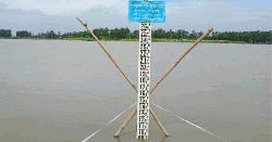 টাঙ্গাইলে পানি বৃদ্ধির ফলে দুর্ভোগে নদীপাড়ের মানুষ 