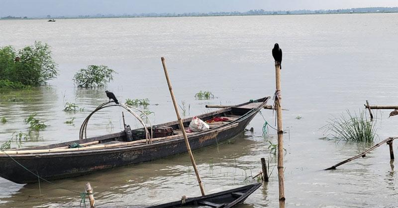 পানি বৃদ্ধি পেলেও এখনো বিপৎসীমা অতিক্রম করেনি রাজবাড়ীতে।