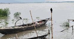 রাজবাড়ীর সব নদ-নদীর পানি বাড়ছে