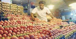 ডিমের বাজারে স্বস্তির হাওয়া, বেড়েছে বিক্রি