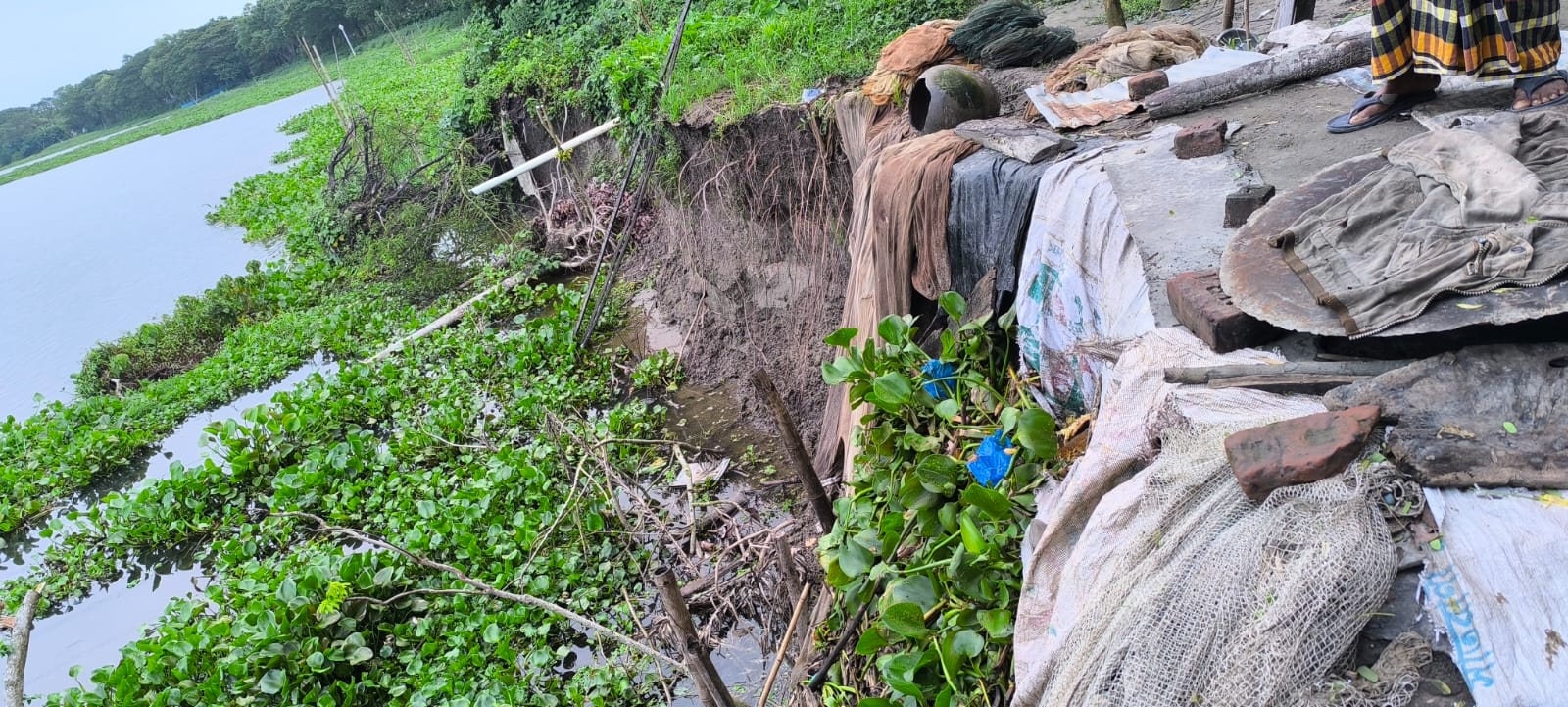 নদীগর্ভে বিলীন হয়ে যাচ্ছে বাড়িঘর, আবাদি জমি ও অন্যান্য স্থাপনা।