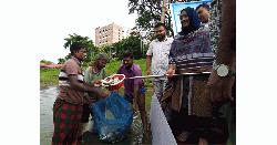 কুড়িগ্রাম মাছের উৎপাদন বৃদ্ধির লক্ষ্যে চাষিদের মাঝে মাছের পোনা বিতরণ 