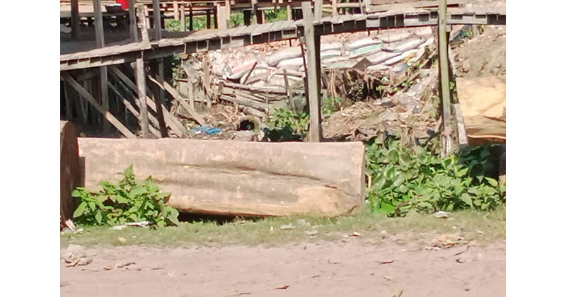 খাল ভরাট করে করাত কল ও পানের বাজার