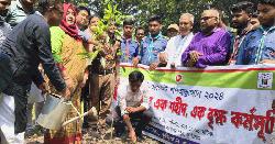 জুলাই-আগস্ট গণঅভ্যুত্থানে শহীদদের স্মরণে বৃক্ষ রোপন কর্মসূচি