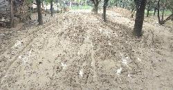 ২০ গ্রামে নেই পাকা রাস্তা, দুর্ভোগে হাজারো মানুষ