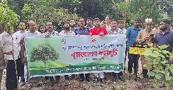 সাতক্ষীরায় ‘জুলাই শহীদ’ স্মৃতিতে বৃক্ষরোপণ কর্মসূচি পালিত
