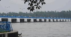 তিস্তার পানি বিপৎসীমা ছুঁইছুঁই, বন্যার আশঙ্কা