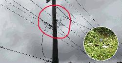 তিতাসে পল্লী বিদ্যুতের ট্রান্সফরমার চুরি