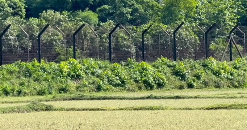 সংগৃহীত ছবি