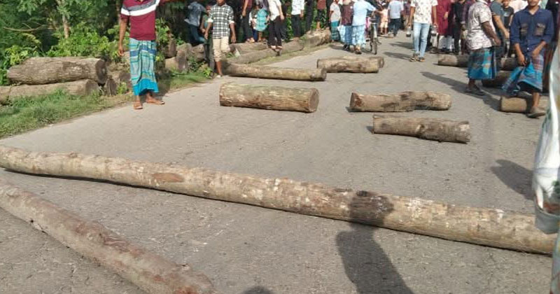 সড়কে গাছের গুঁড়ি ফেলে অবরোধ