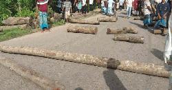 রায়পুরে বাসচাপায় মাদরাসাছাত্রী নিহত, সড়ক অবরোধ