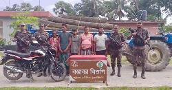 ভারতে কাঠ পাচারকালে পত্নীতলা বিজিবির হাতে আটক ৫