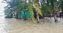 নোয়াখালীর নিম্নাঞ্চল প্লাবিত, ভাঙনের মুখে শতাধিক বাড়িঘর