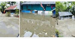 ফেনীর সোনাগাজীর ১১ গ্রাম প্লাবিত, তলিয়ে গেছে ঘরবাড়ি