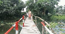 সেতু নয়, ভরসা কাঠের পুল, ৮ গ্রামের মানুষের দুর্ভোগ চরমে