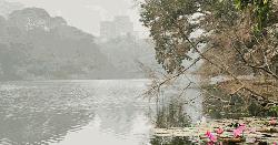 ২ ডিগ্রি সেলসিয়াস কমতে পারে ঢাকার তাপমাত্রা, সম্ভাবনা বজ্রসহ বৃষ্টির
