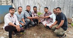 'বিশ্ব প্রকৃতি সংরক্ষণ দিবসে' গোয়াইনঘাট প্রেসক্লাবের বৃক্ষরোপণ কর্মসূচি