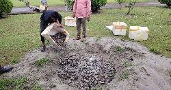 চাঁদপুরে ৪৫ মণ জেলিযুক্ত চিংড়ি জব্দ