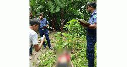 রাজৈরে হত্যা করে অটোভ্যান ছিনতাই