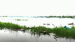 ভারী বৃষ্টিপাতে পাইকগাছার বিভিন্ন এলাকায় জলাবদ্ধতা সৃষ্টি