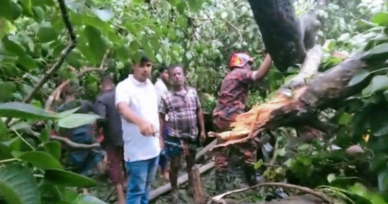এতে ক্ষতিগ্রস্ত হয় ১৫টি দোকান।