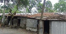 ২৪ বছর ধরে সংস্কার হয়নি আশ্রয়ণ প্রকল্পের ঘর
