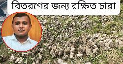 মির্জাগঞ্জে কৃষি কর্মকর্তার বিরুদ্ধে তথ্য গোপন ও ঘুষ প্রস্তাবের অভিযোগ