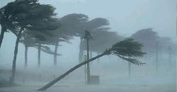 দেশের ৭ জেলায় ৬০ কিমি বেগে ঝড়ের আশঙ্কা
