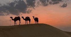 মক্কা বিজয়ের সময় নবীজি যাদের ক্ষমা করেননি