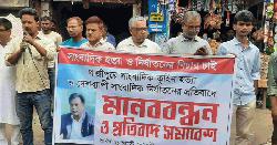 সাংবাদিক তুহিন হত্যার প্রতিবাদে ডোমারে মানববন্ধন