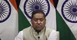 পাকিস্তানের সেনাপ্রধানের বক্তব্যের জবাবে কী বলল ভারত